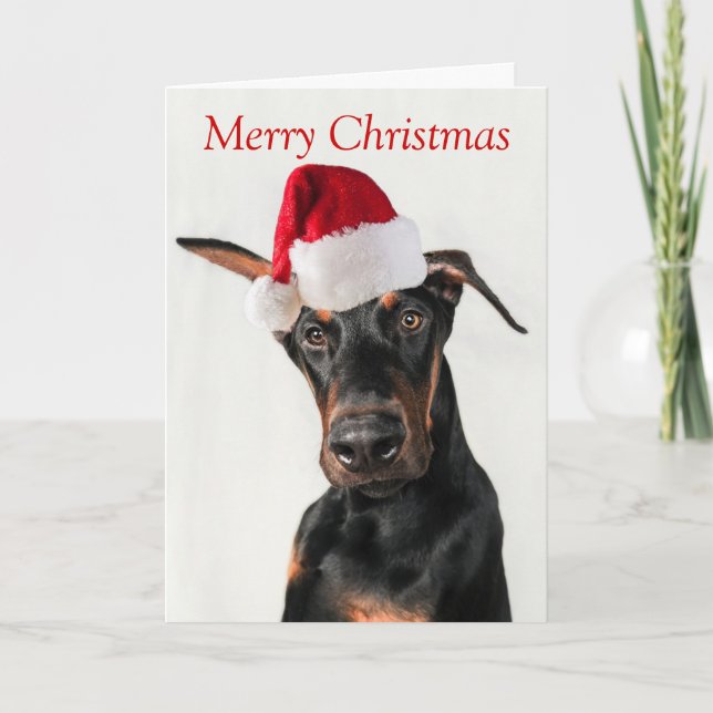 Doberman dog with Santa Hat Christmas card (Front)