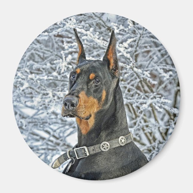 Doberman Fosty Day Magnet (Front)