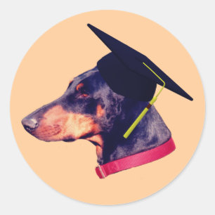 Doberman Graduate Cap Funny Classic Round Sticker