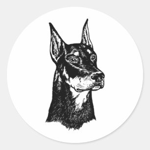 DOBERMAN HEAD CLASSIC ROUND STICKER