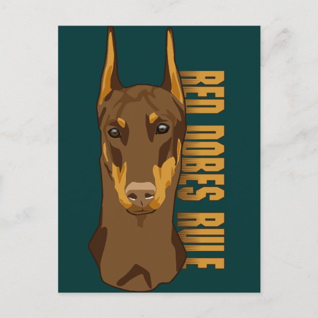 Doberman Head, Red Dobes Rule Postcard (Front)