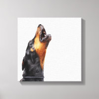 Doberman howling