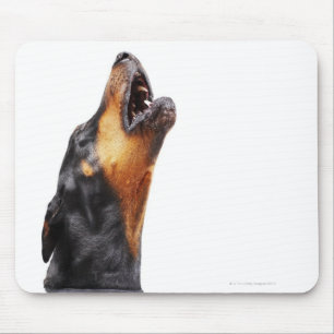 Doberman howling mouse mat