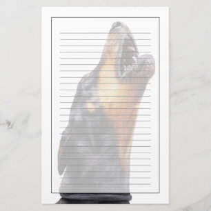 Doberman howling stationery