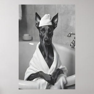 Doberman in Bathrobe, Funny Bathroom Art Poster
