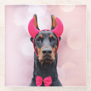 Doberman in Devil Costume Glass Coaster