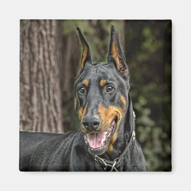 Doberman in Forest Magnet (Front)