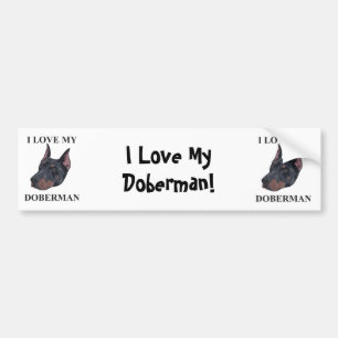 Doberman Love Bumper Sticker