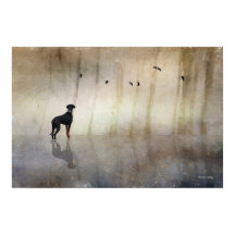 Doberman Photo Art - Reflections of a Quiet Heart