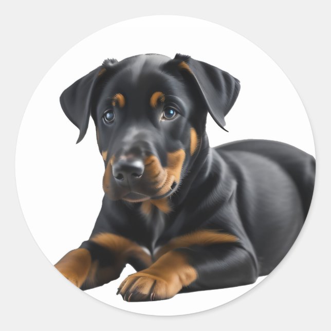Doberman Pincer Puppy Classic Round Sticker (Front)