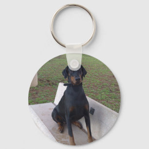 doberman pincher sitting key ring
