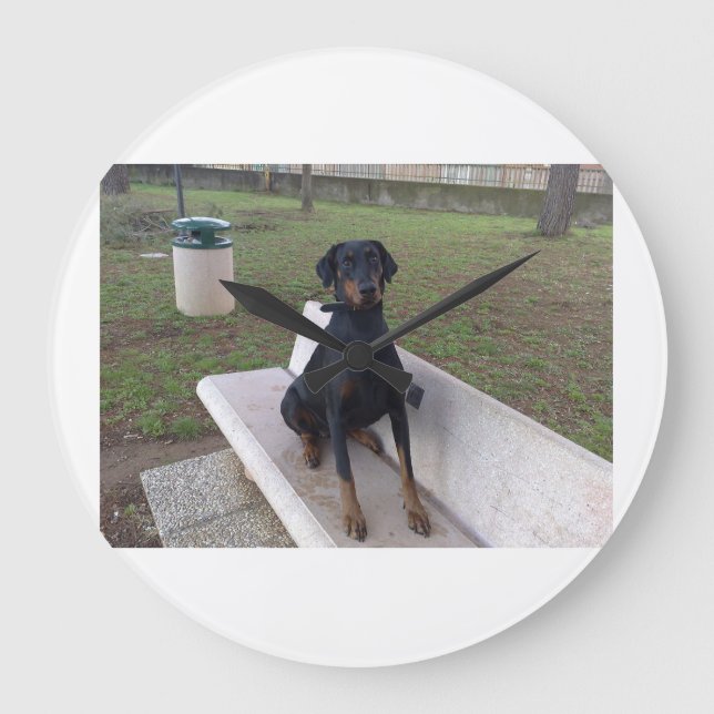 doberman pincher sitting large clock (Front)