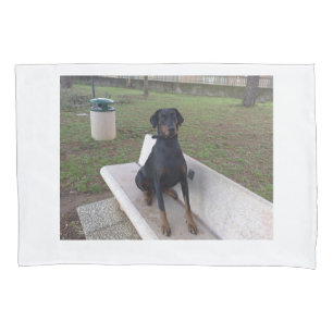 doberman pincher sitting pillowcase