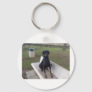 doberman pincher sitting.png key ring