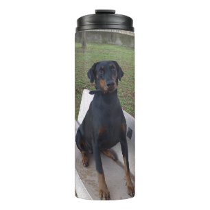 doberman pincher sitting thermal tumbler