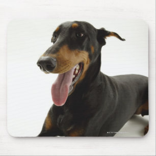 Doberman Pinscher 2 Mouse Mat