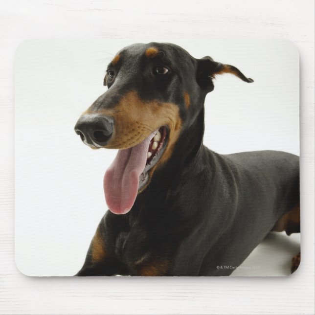 Doberman Pinscher 2 Mouse Mat (Front)