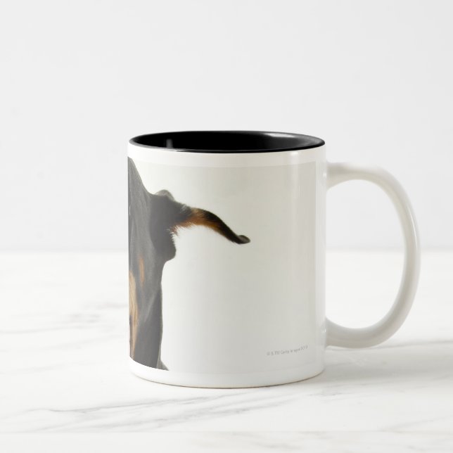 Doberman Pinscher 2 Two-Tone Coffee Mug (Right)