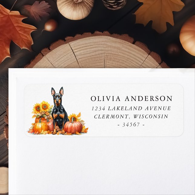 Doberman Pinscher Autumn Pumpkin (Creator Uploaded)