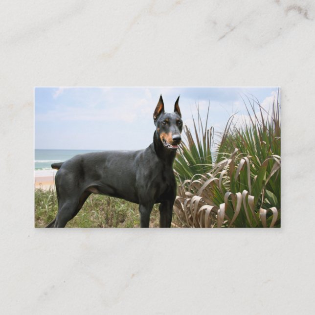 Doberman Pinscher Breeder Business Card (Front)