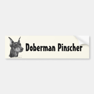 Doberman Pinscher Bumper Sticker