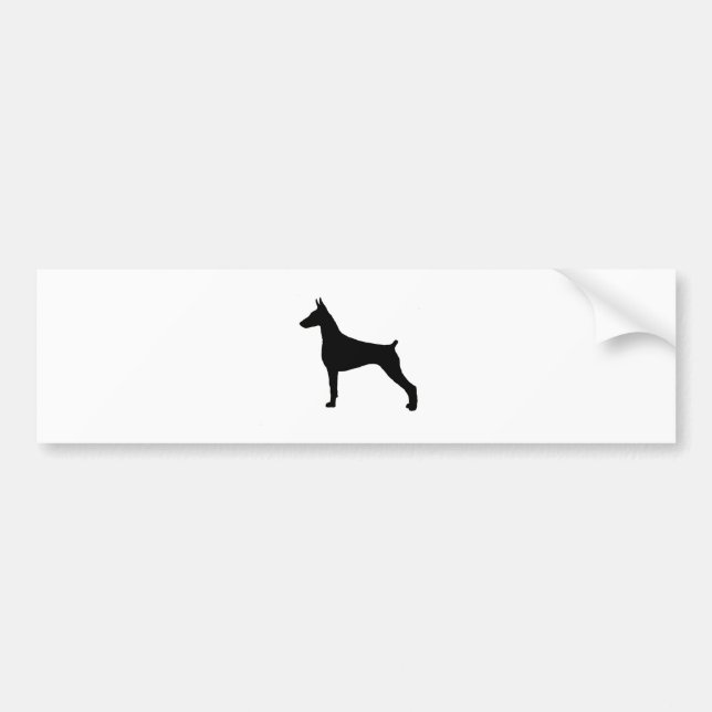 doberman pinscher bumper sticker (Front)