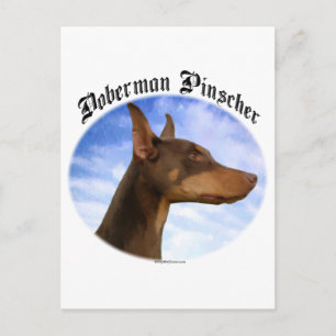 Doberman Pinscher Clouds Postcard