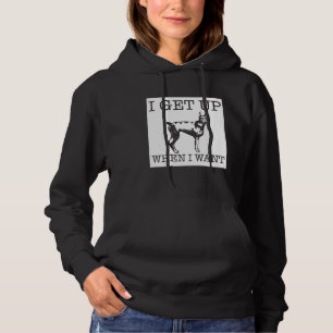 Doberman Pinscher  dog   1 Hoodie