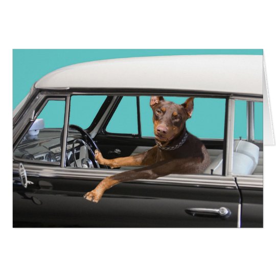 Doberman Pinscher Driving Classic Car Card