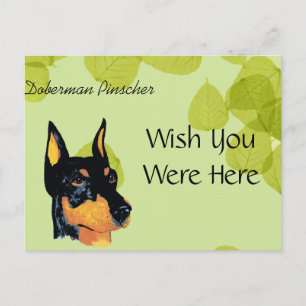 Doberman Pinscher ~ Green Leaves Design Postcard