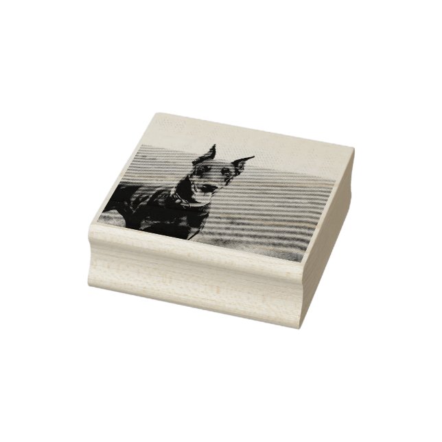 Doberman Pinscher In Field Rubber Stamp (Stamp)