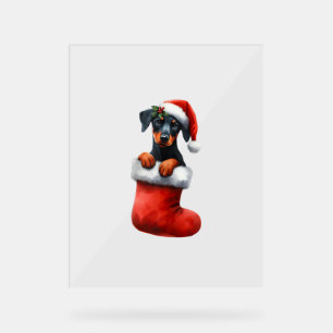 Doberman Pinscher In Sock Christmas Santa Hat Xmas Acrylic Sign