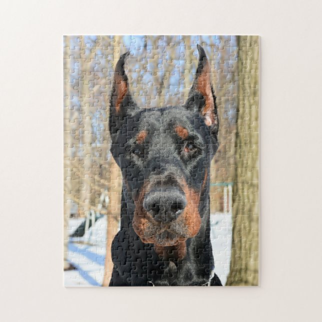 Doberman pinscher jigsaw puzzle (Vertical)