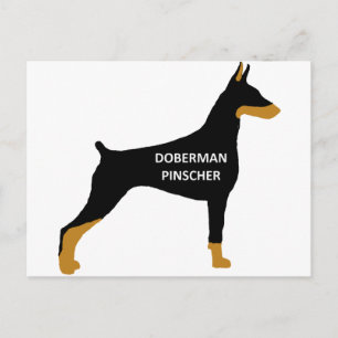 Doberman Pinscher name colour silo black Postcard