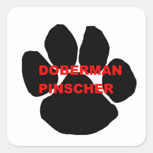 doberman pinscher name paw square sticker