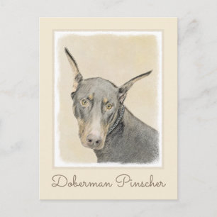 Doberman Pinscher Painting - Original Dog Art Postcard