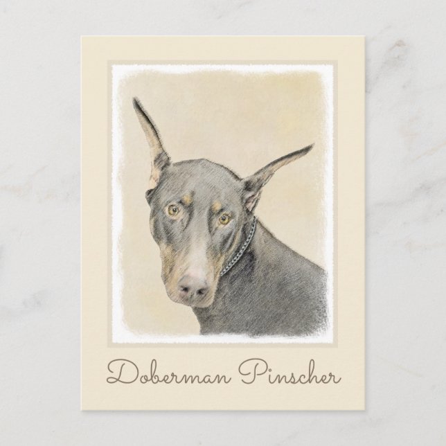 Doberman Pinscher Painting - Original Dog Art Postcard (Front)