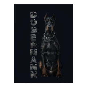 Doberman Pinscher    Poster