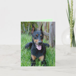 Doberman Pinscher Puppy Dog Blank Note Card