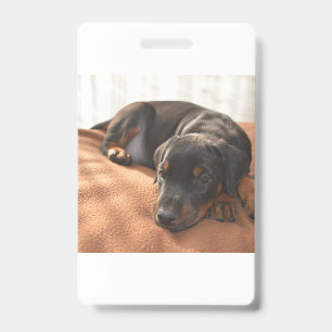 doberman-pinscher-puppy ID badge