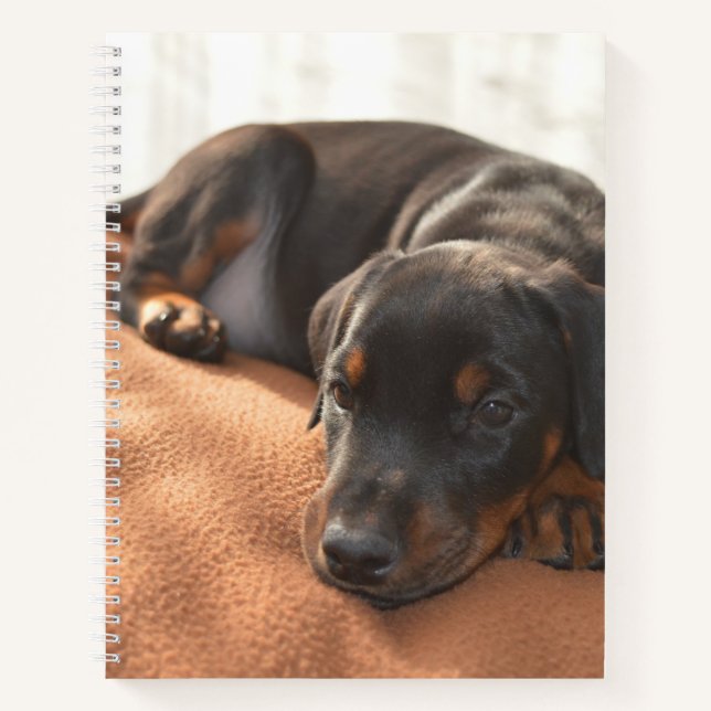 doberman-pinscher-puppy notebook (Front)