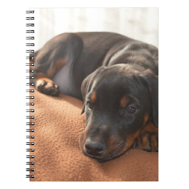 doberman-pinscher-puppy notebook (Front)