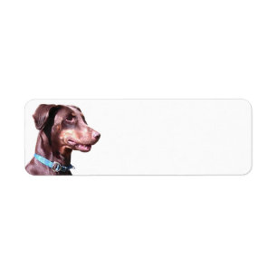 Doberman Pinscher Red