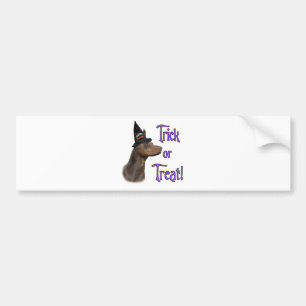 Doberman Pinscher (red) Trick Bumper Sticker