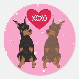 Doberman Pinscher Valentines Day Classic Round Sticker