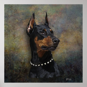 Doberman   poster