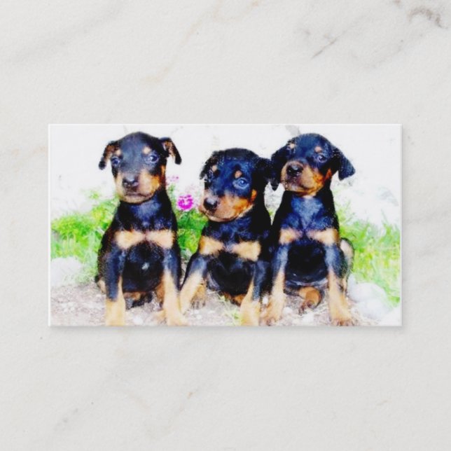 Doberman puppies business cards (Front)