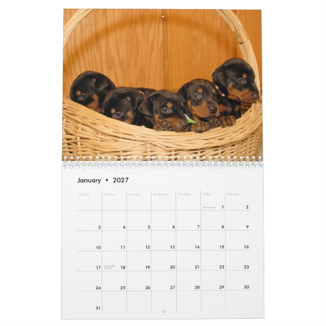 Doberman Puppy Calendar updated 2012 (Jan 2027)