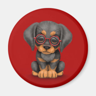 Doberman Puppy Dog with Reading Glasses, red Magnet