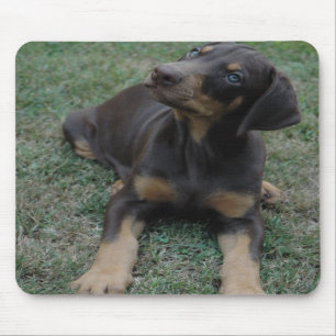 Doberman Puppy mousepad